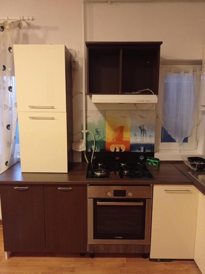 Floreşti Apartament Bed & Breakfast エクステリア 写真